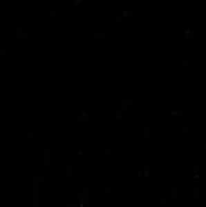 Meet your Posher, Laila